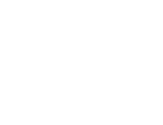 A large, light gray letter S followed by a solid dot on a pale background.